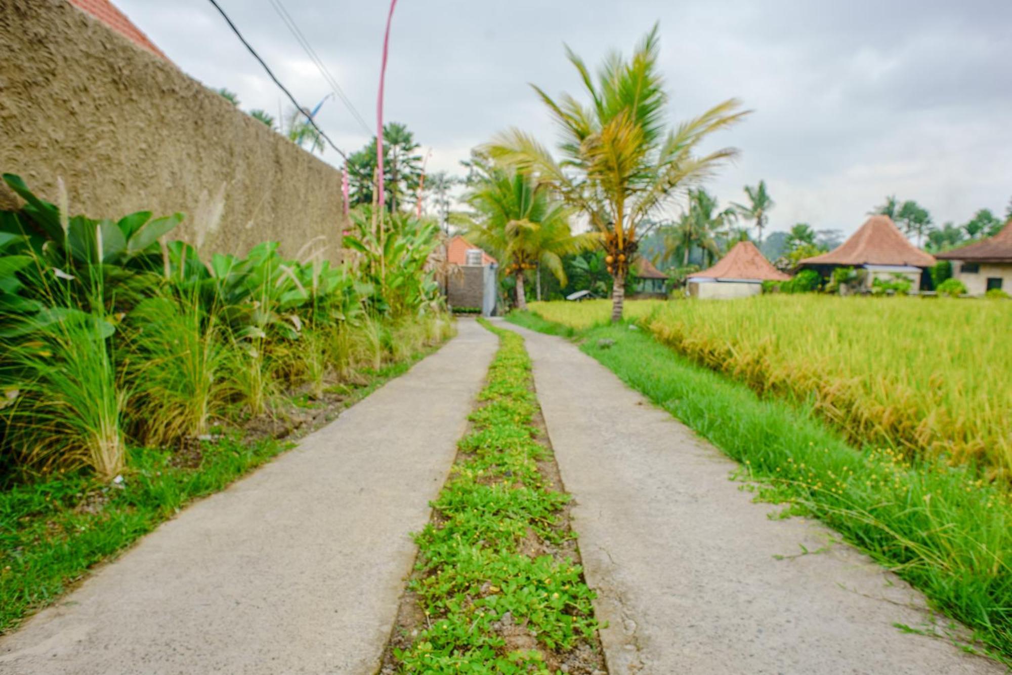 Umakelod Sebatu Villas 우붓 외부 사진